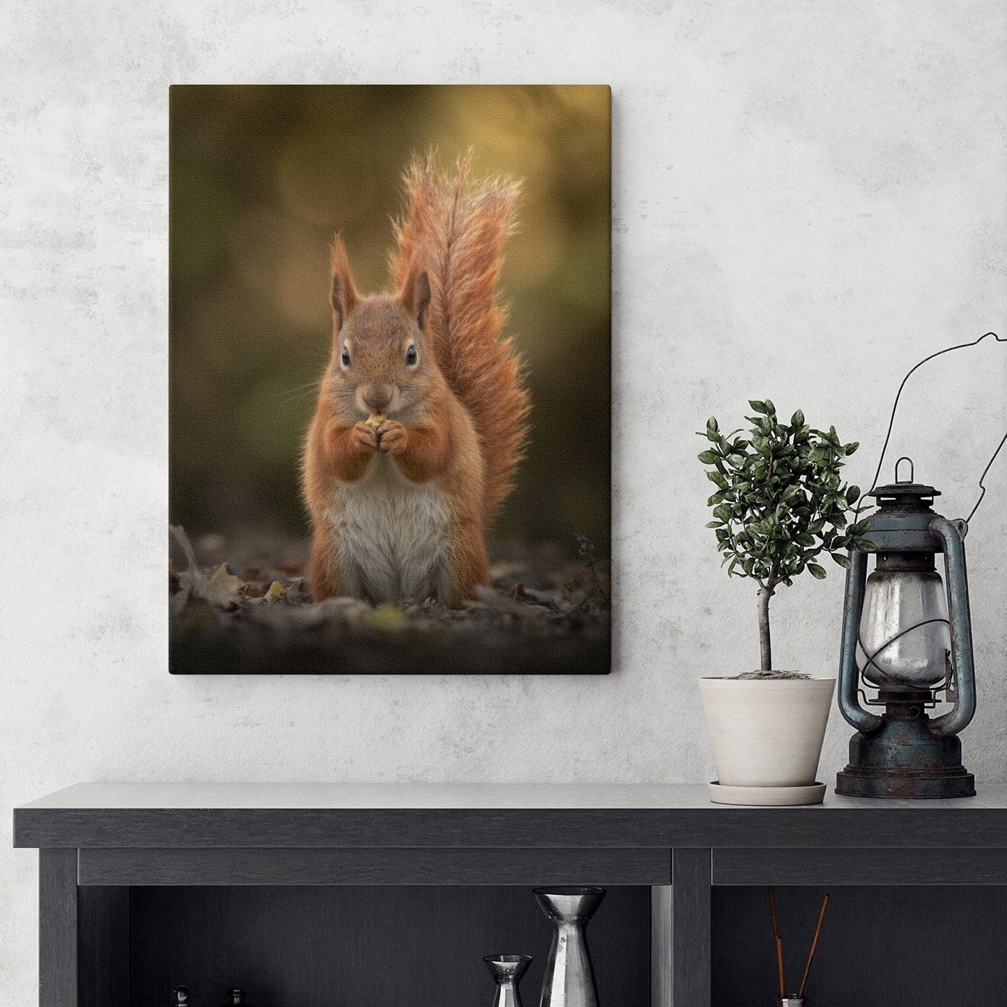 Autumn Red Squirrel Canvas