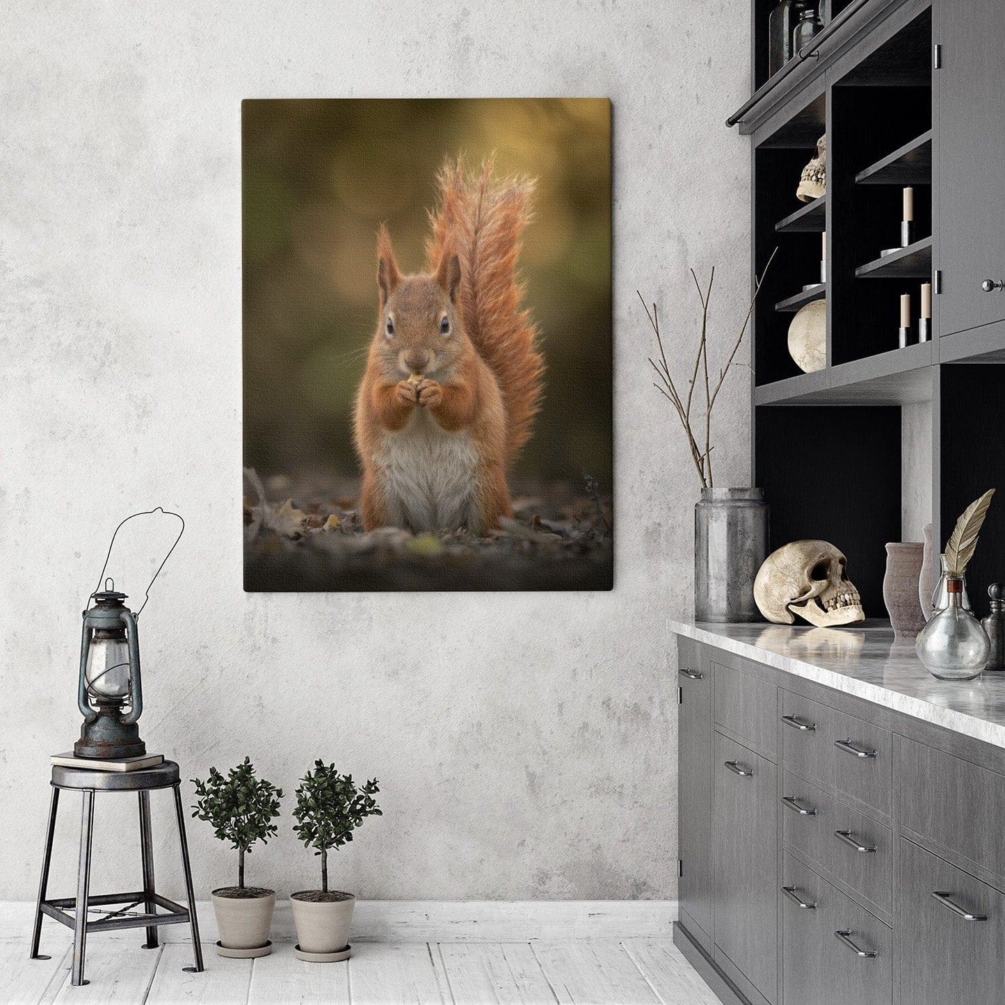 Autumn Red Squirrel Canvas