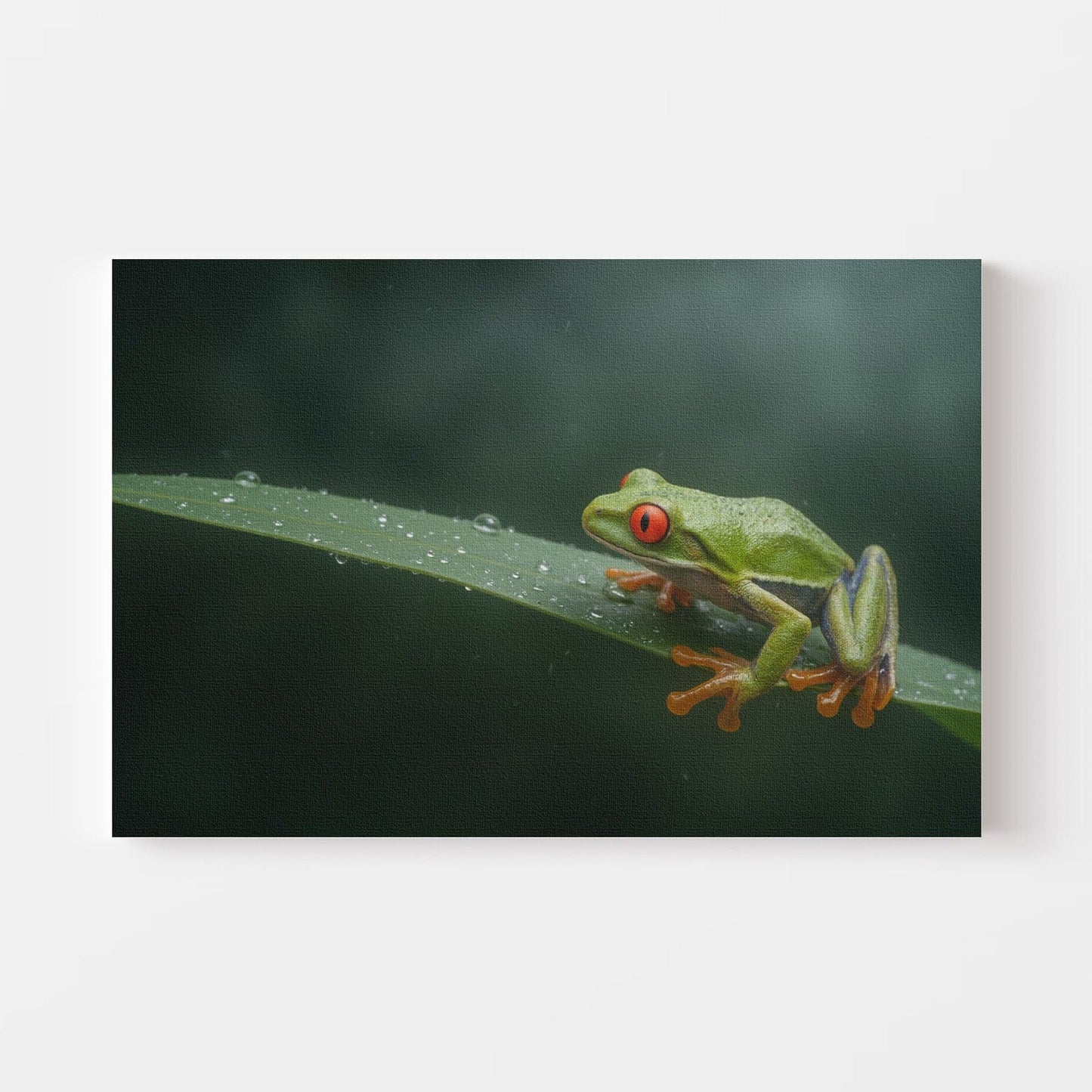 Green Tree Frog Canvas