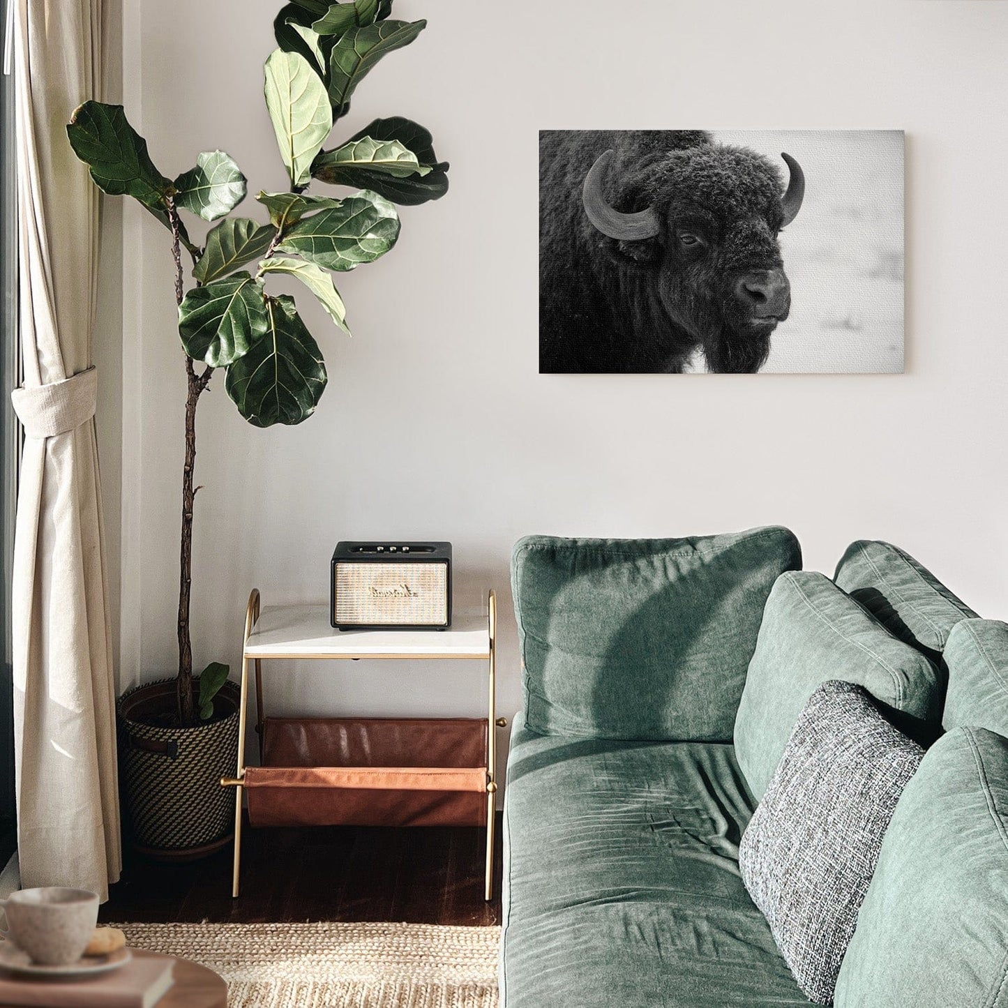 Black and White Buffalo Canvas