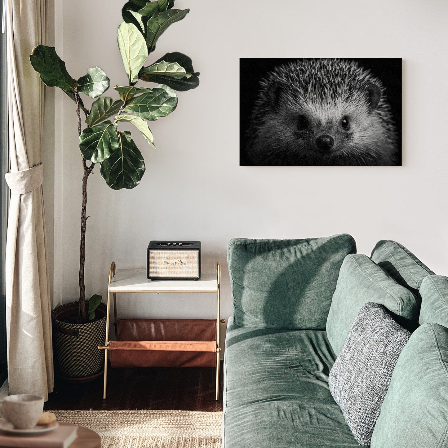 Black And White Hedgehog Canvas