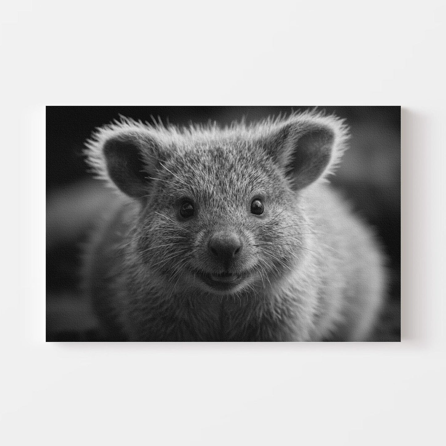 Black And White Quokka Canvas