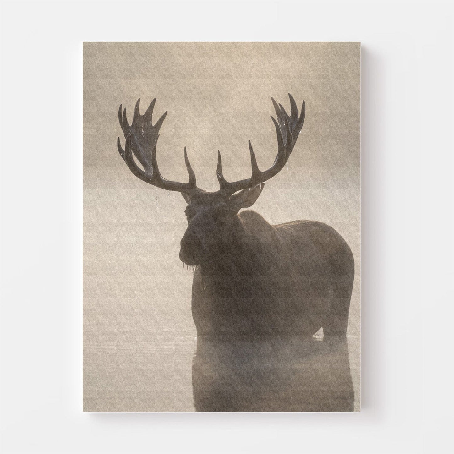 Misty Moose Silhouette Canvas