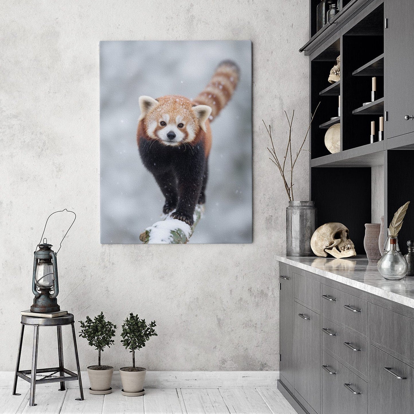 Snowy Red Panda Canvas