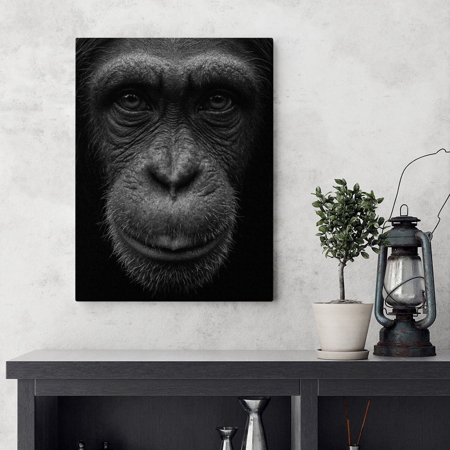 Black and White Chimp Portrait Canvas