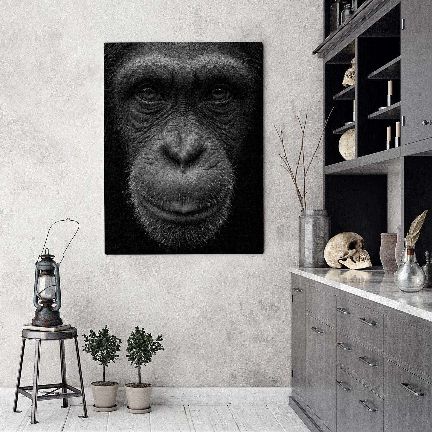 Black and White Chimp Portrait Canvas