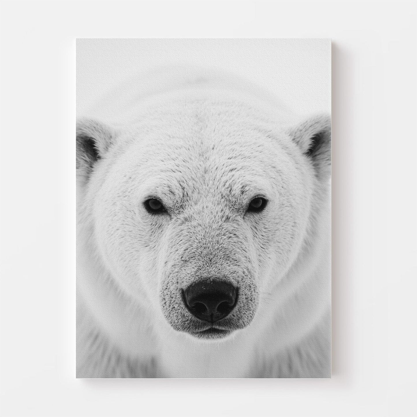 Black and White Polar Bear Canvas