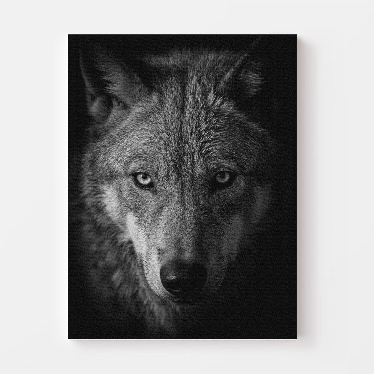 Black and White Wolf Canvas