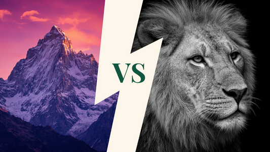 Color vs Black & White: Choosing Nature Photography Canvas Wall Art for Your Space
