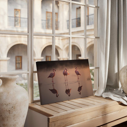 Coral Flamingo Reflection Canvas
