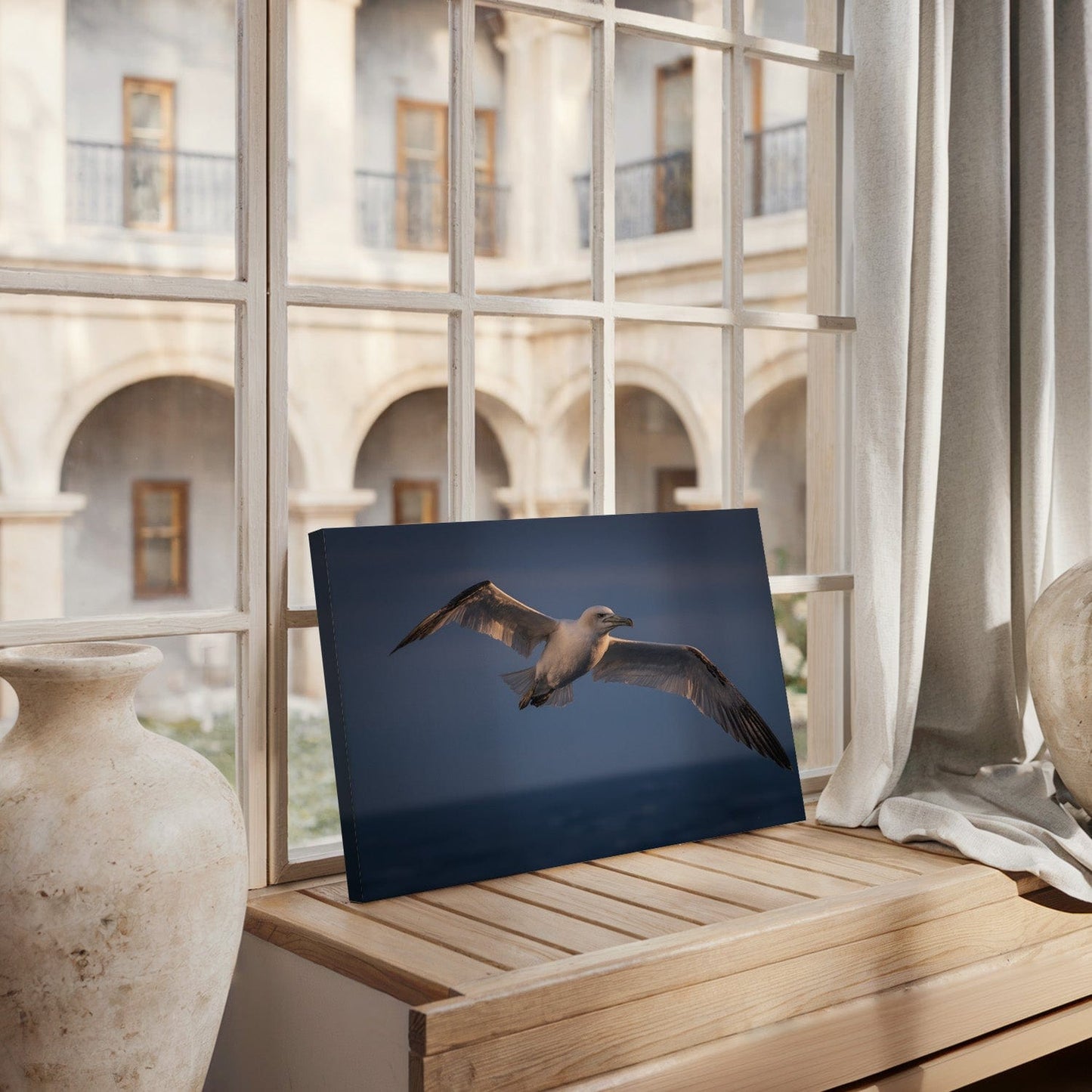 Soaring Northern Albatross Canvas