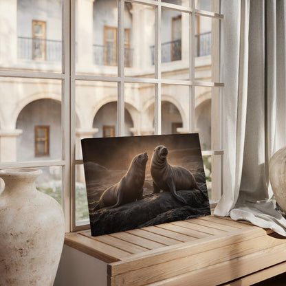 Backlit Coastal Seals Canvas