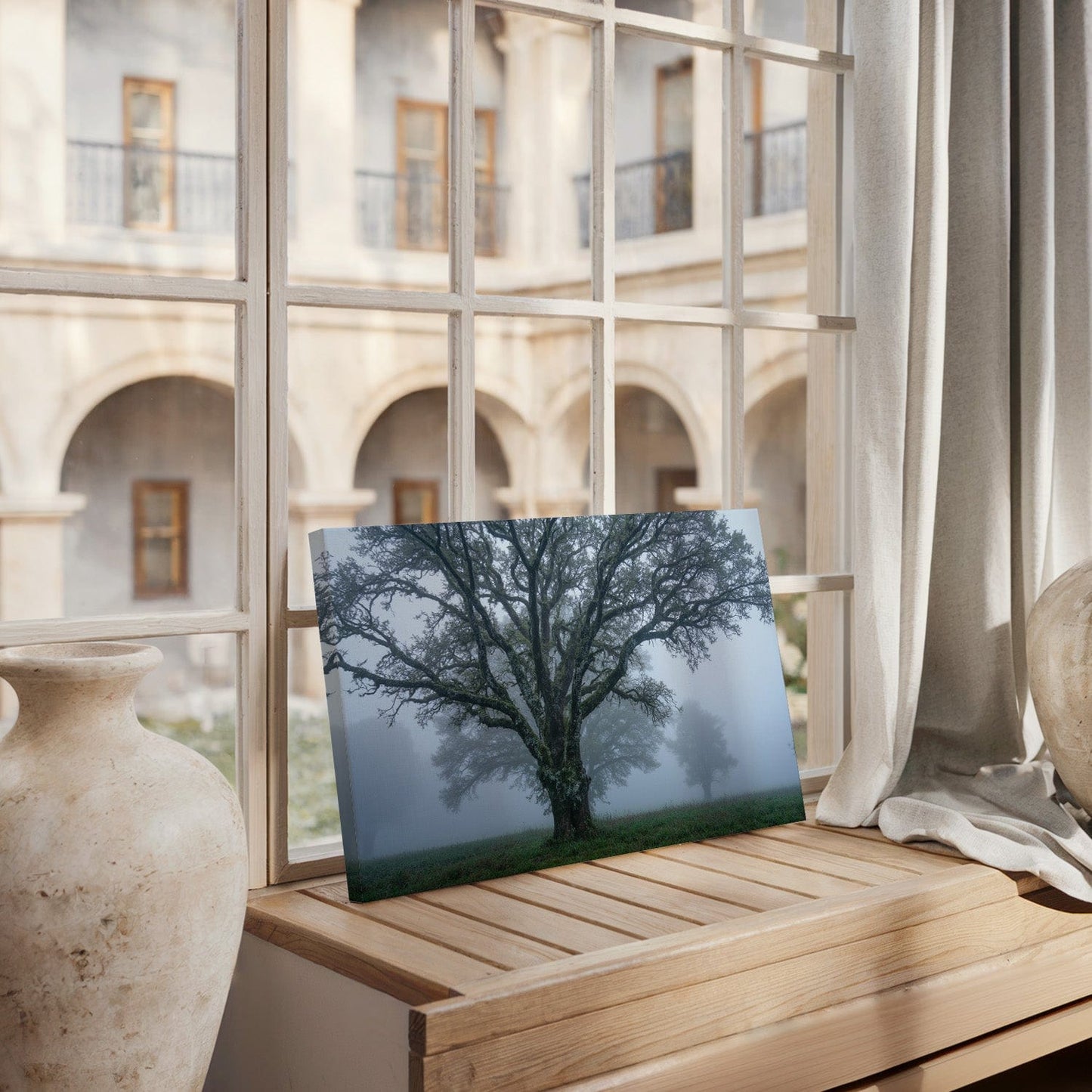 Misty Ancient Oak Canvas