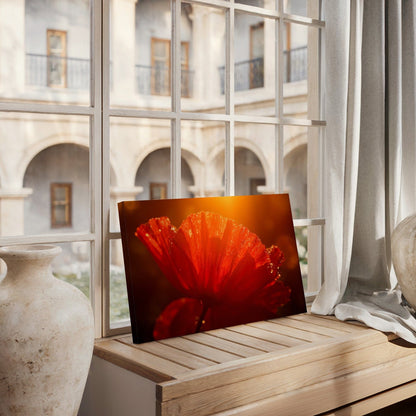 Dewy Crimson Poppy Canvas