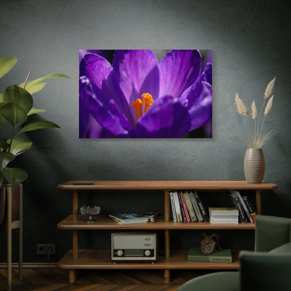 Royal Purple Crocus Canvas