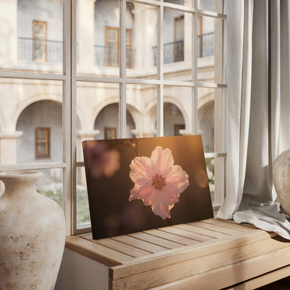 Velvet Pink Blossom Canvas