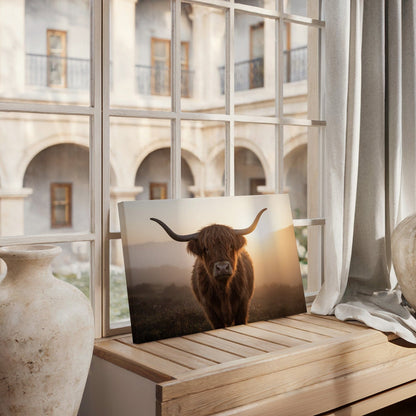 Sunset Highland Cow Canvas
