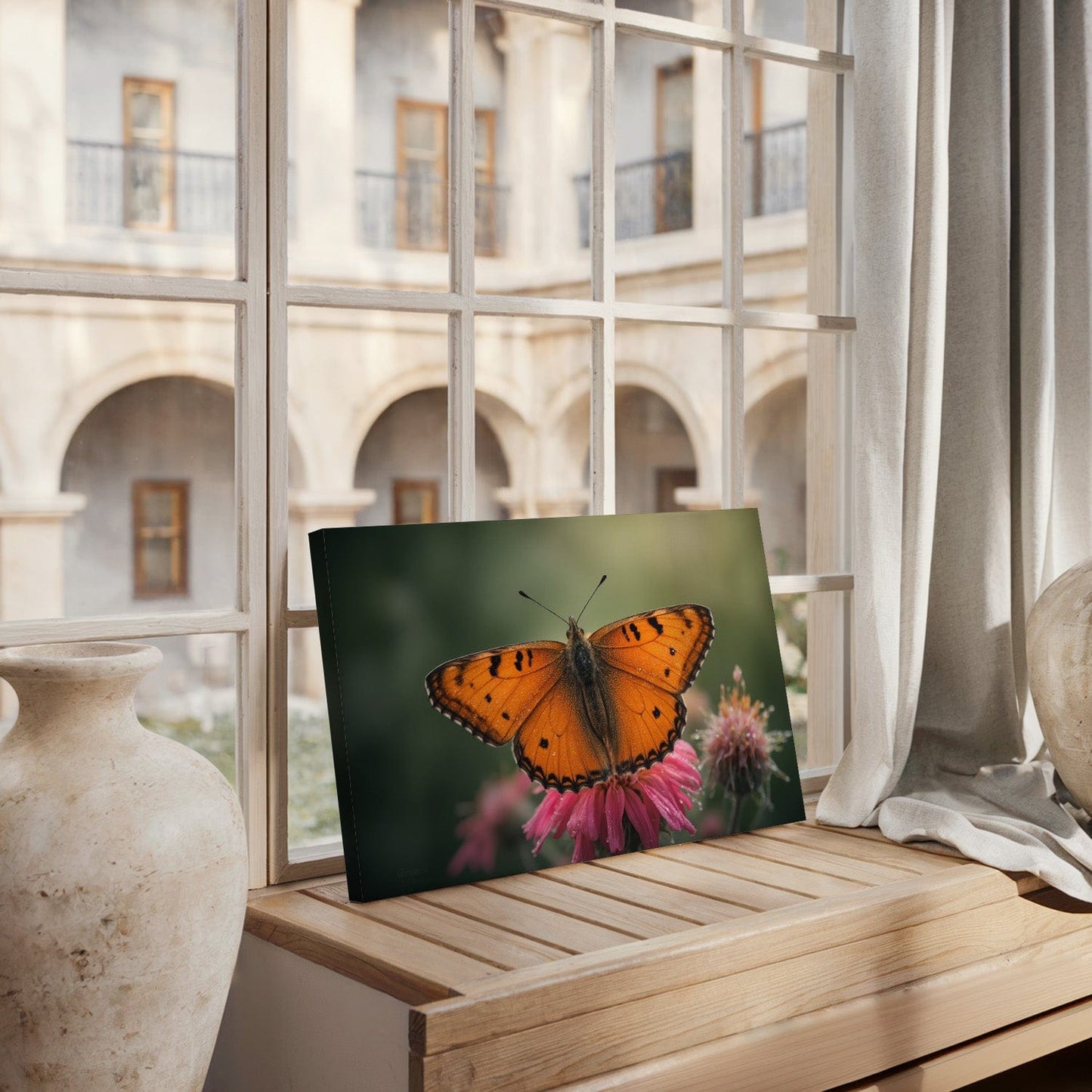 Orange Butterfly Flower Canvas