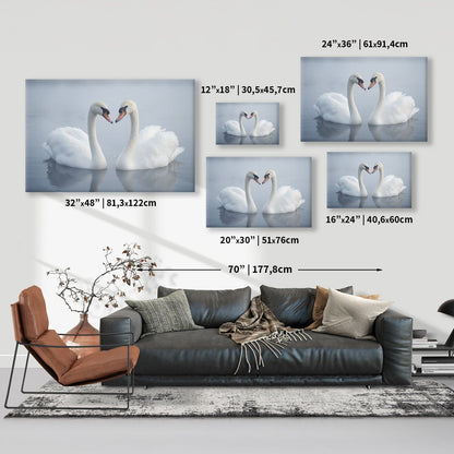 Swan Love Heart Canvas