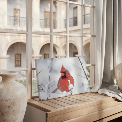 Northern Cardinal Winter Canvas
