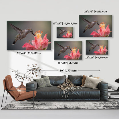 Dewy Hummingbird Nectar Canvas