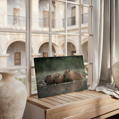 Tranquil Capybara Family Canvas