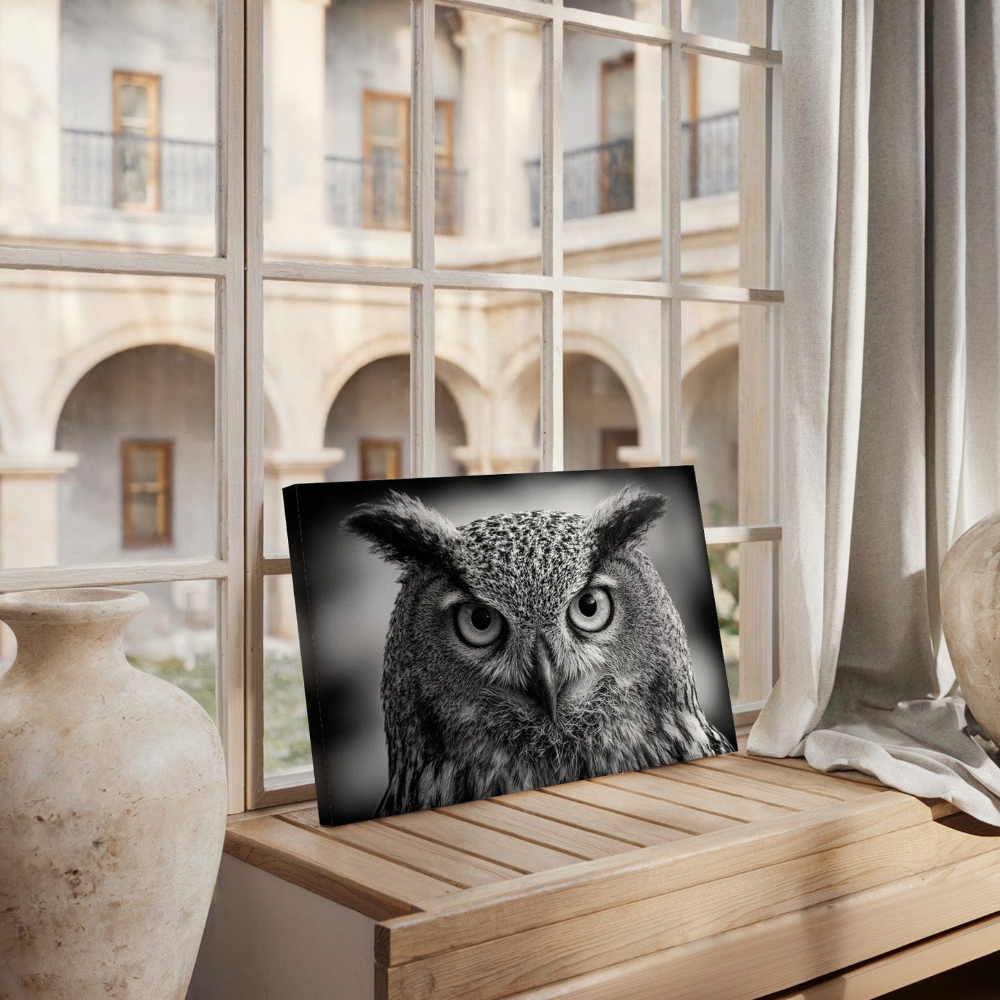 Black and White Owl Dawn Canvas