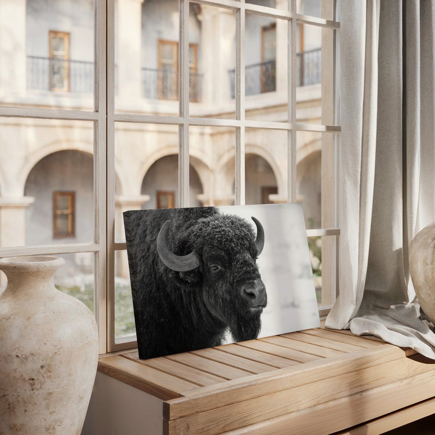 Black and White Buffalo Canvas