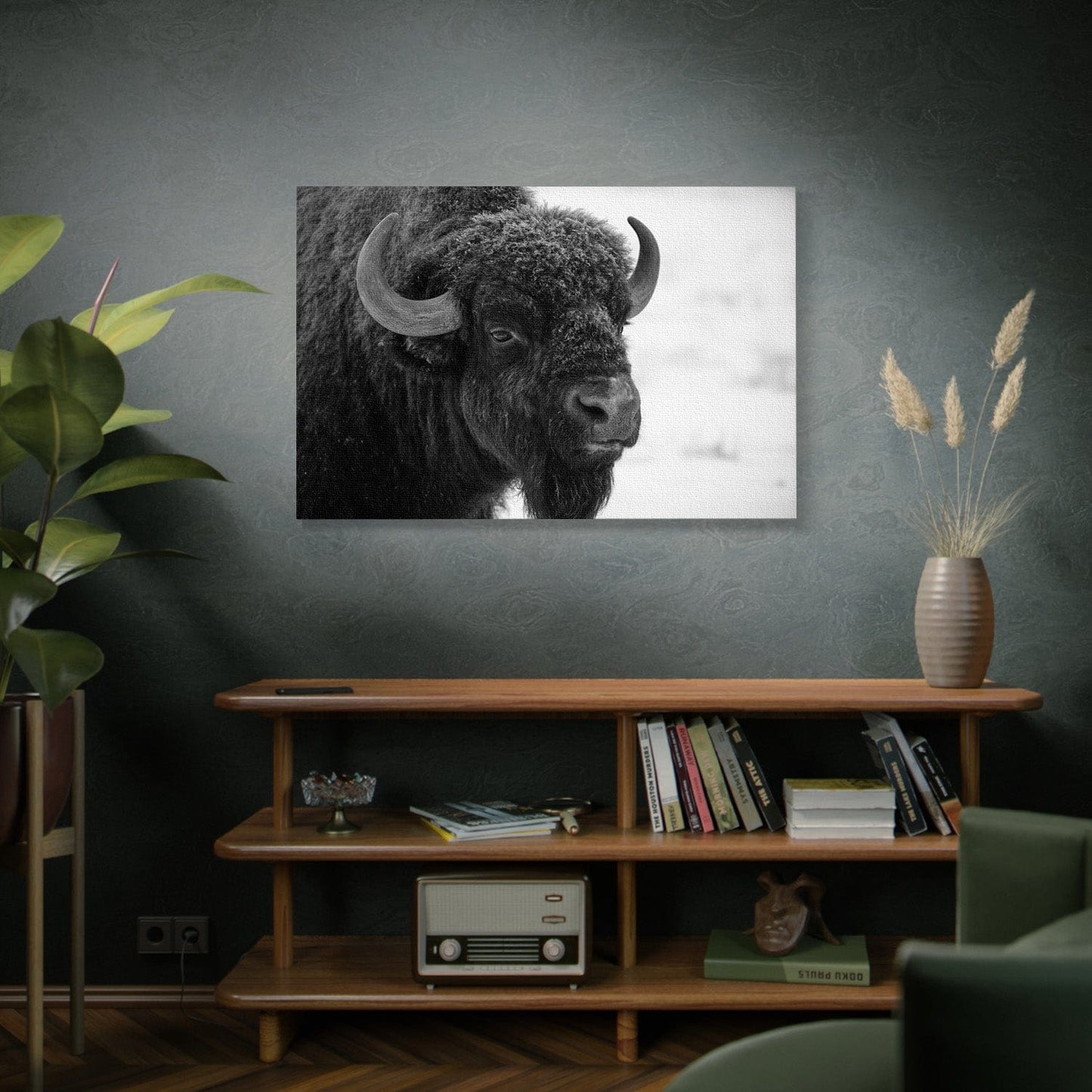 Black and White Buffalo Canvas