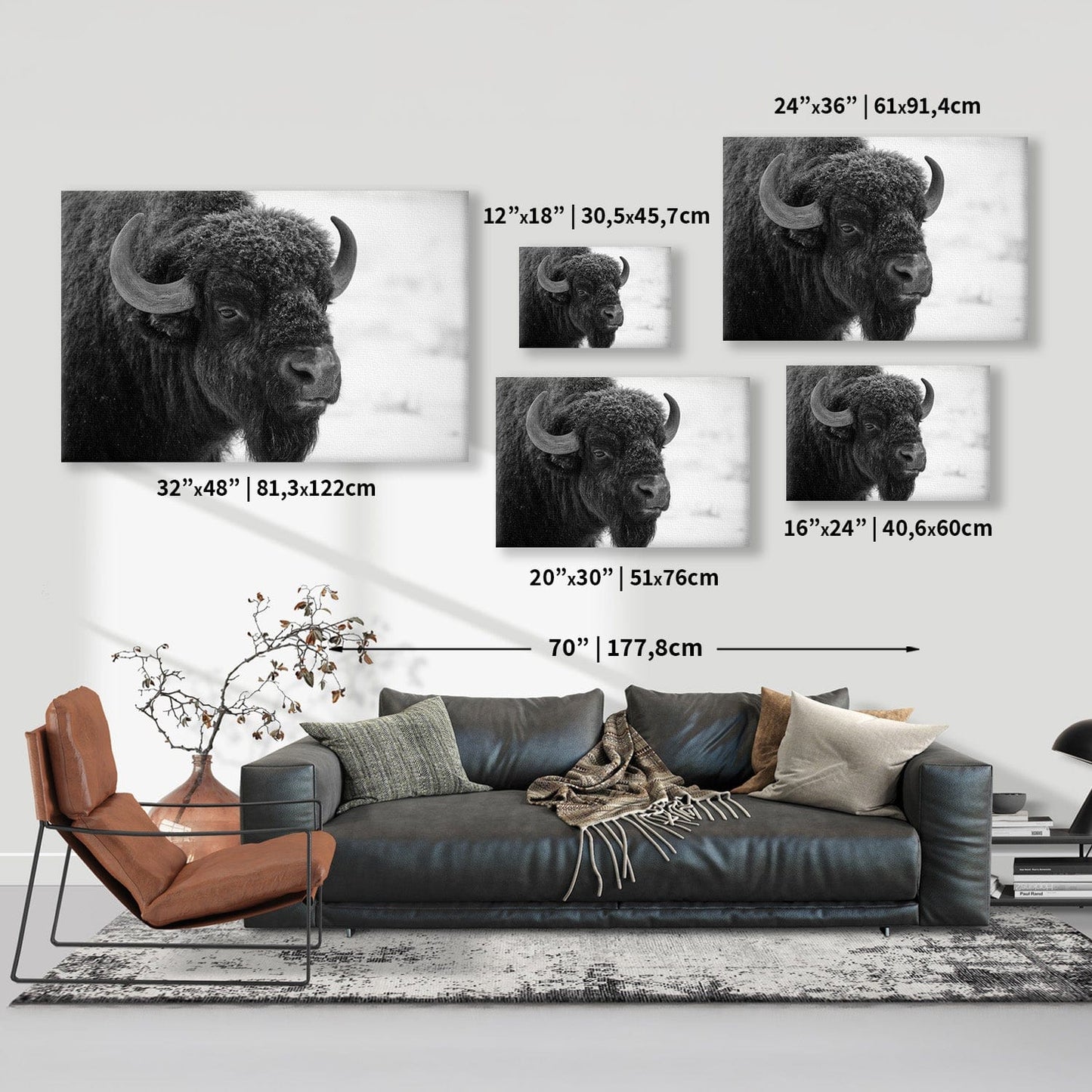Black and White Buffalo Canvas