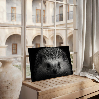 Black And White Hedgehog Canvas