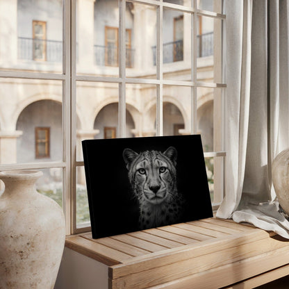 Black And White Cheetah Canvas