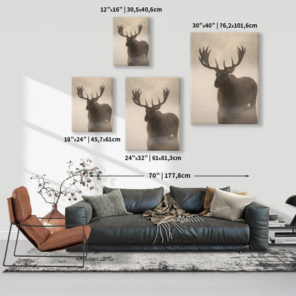 Misty Moose Silhouette Canvas