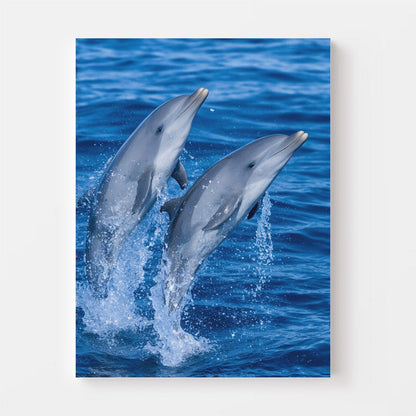Playful Dolphin Duo Canvas