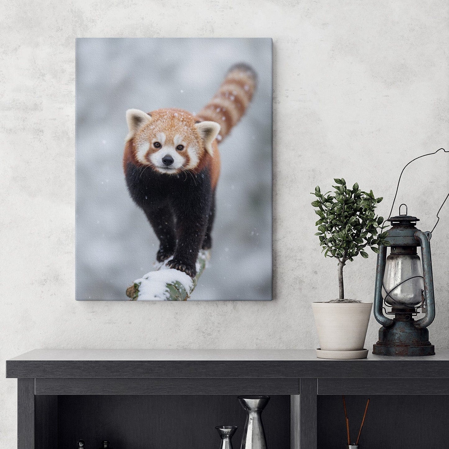 Snowy Red Panda Canvas