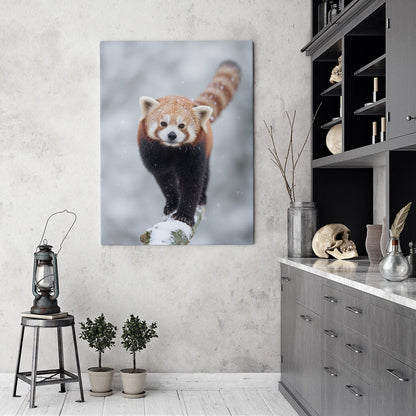 Snowy Red Panda Canvas