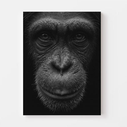 Black and White Chimp Portrait Canvas