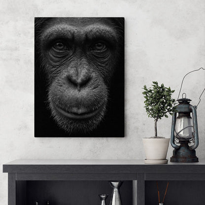 Black and White Chimp Portrait Canvas