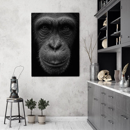 Black and White Chimp Portrait Canvas